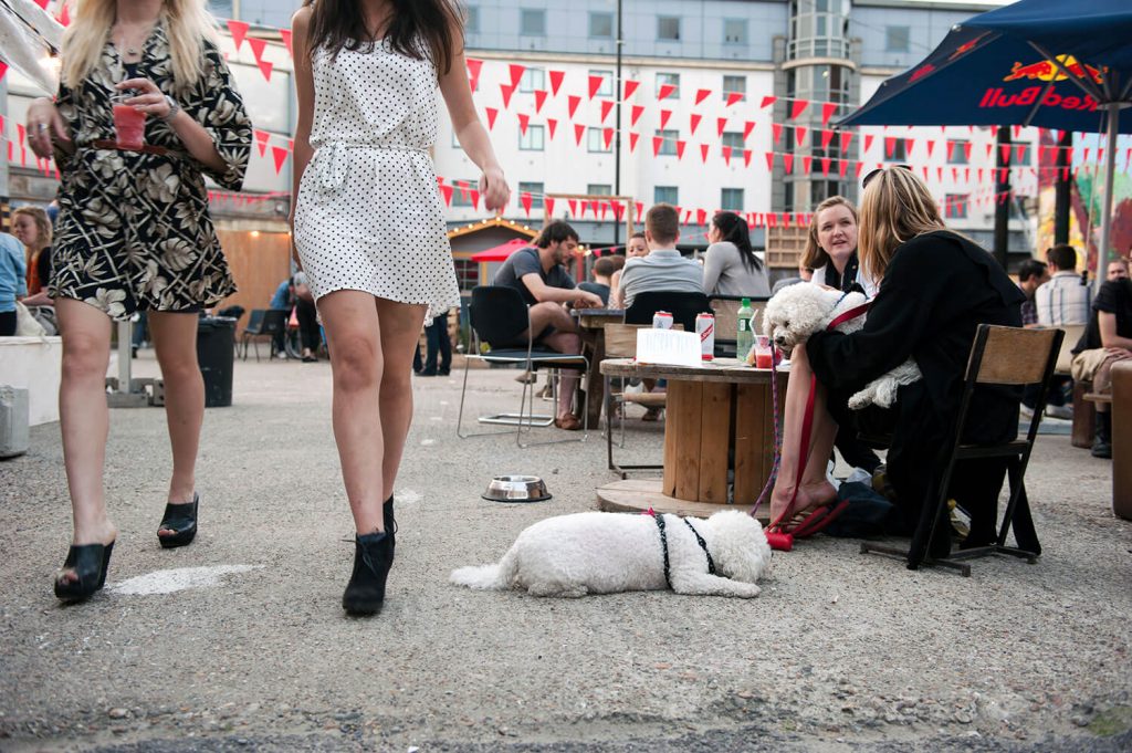 Image © Scott Wishart, 2017