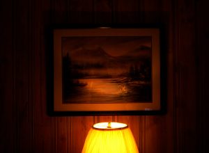 Image © Scott Wishart, 2017