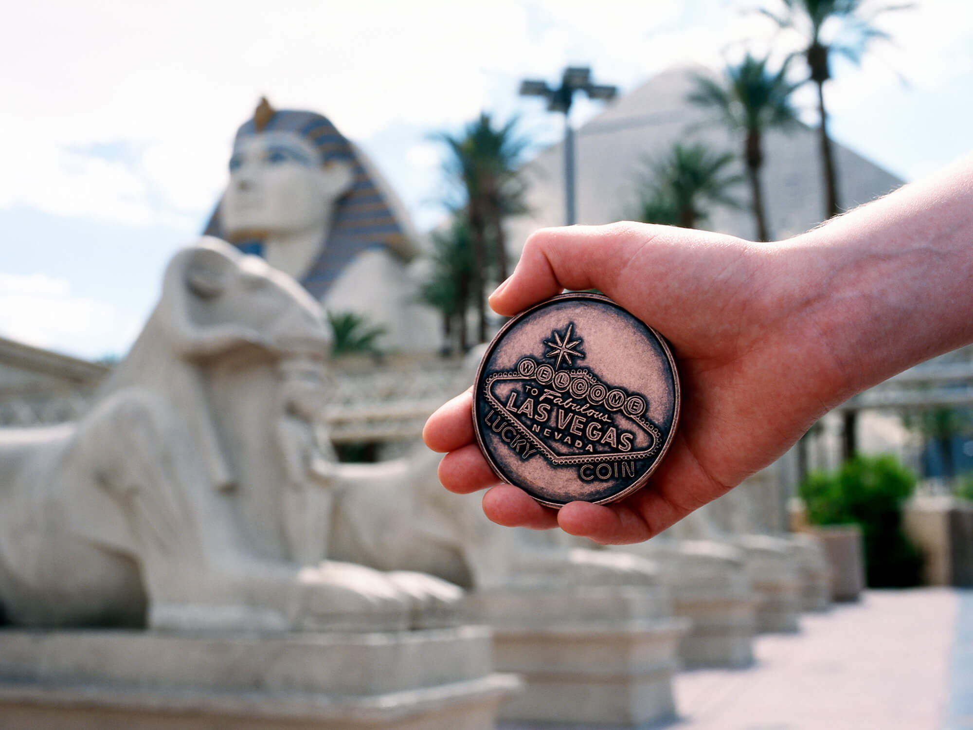 Image © Scott Wishart, 2017