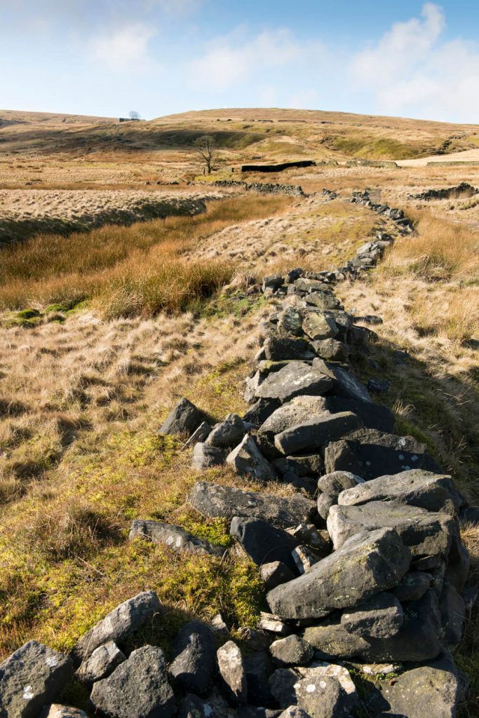 Image © Scott Wishart, 2017