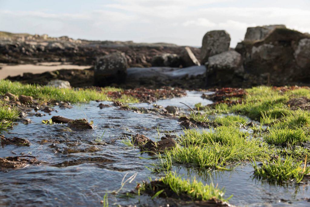 Image © Scott Wishart, 2017