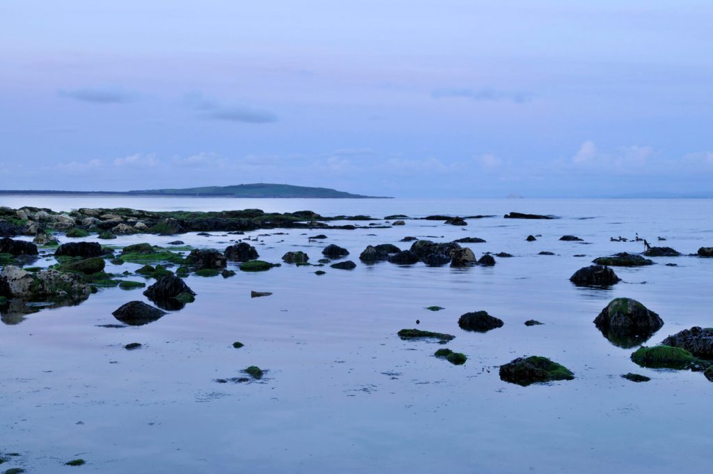 Image © Scott Wishart, 2017