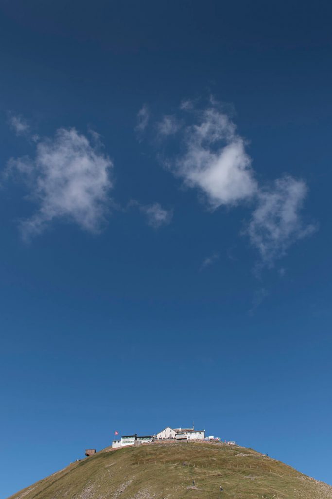 Image © Scott Wishart, 2017