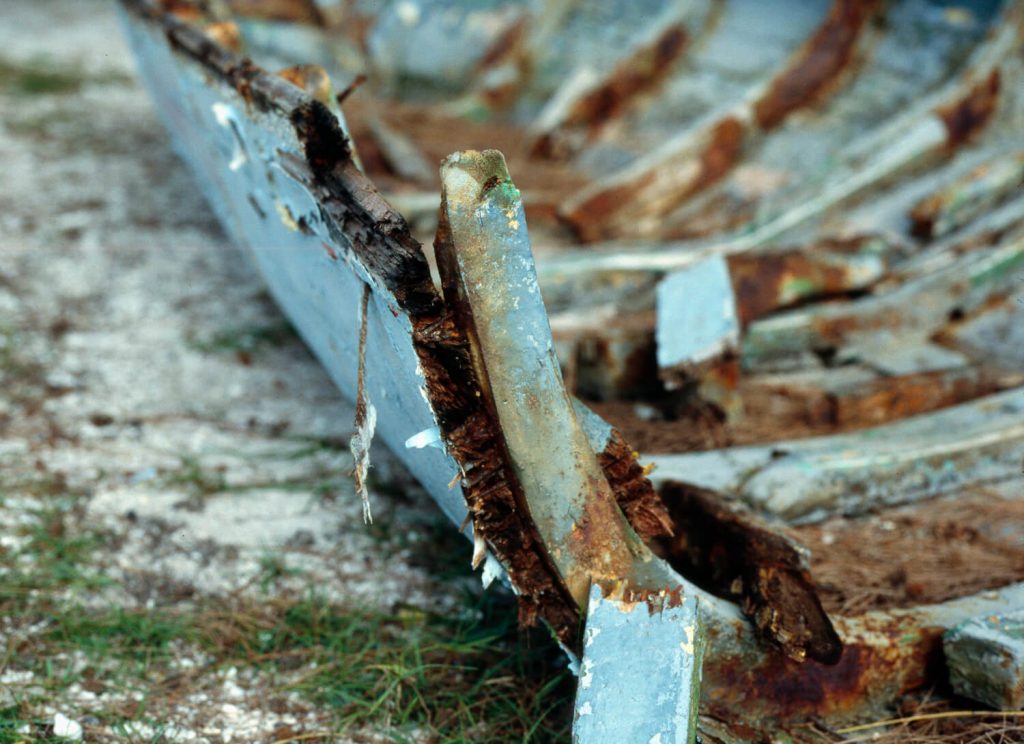 Image © Scott Wishart, 2017